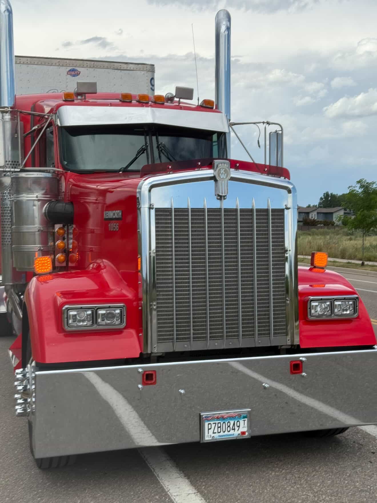 Kenworth W9L Bugshield