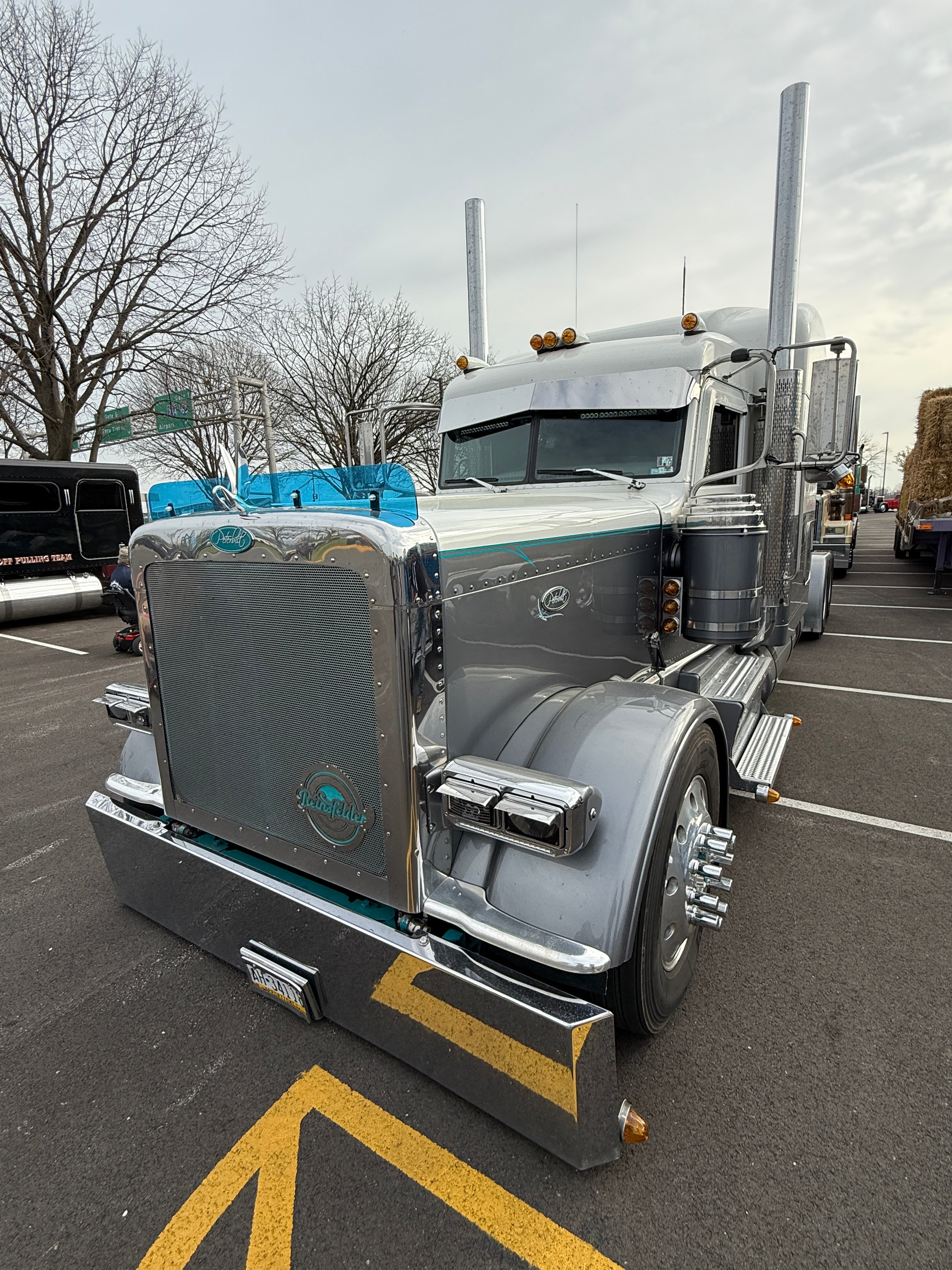 Peterbilt 389/388 Bug Shield