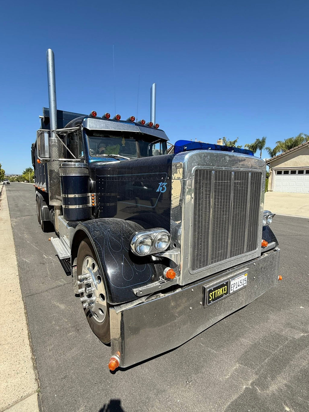 Peterbilt 379 Bugshield