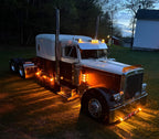 Peterbilt 379 Bugshield