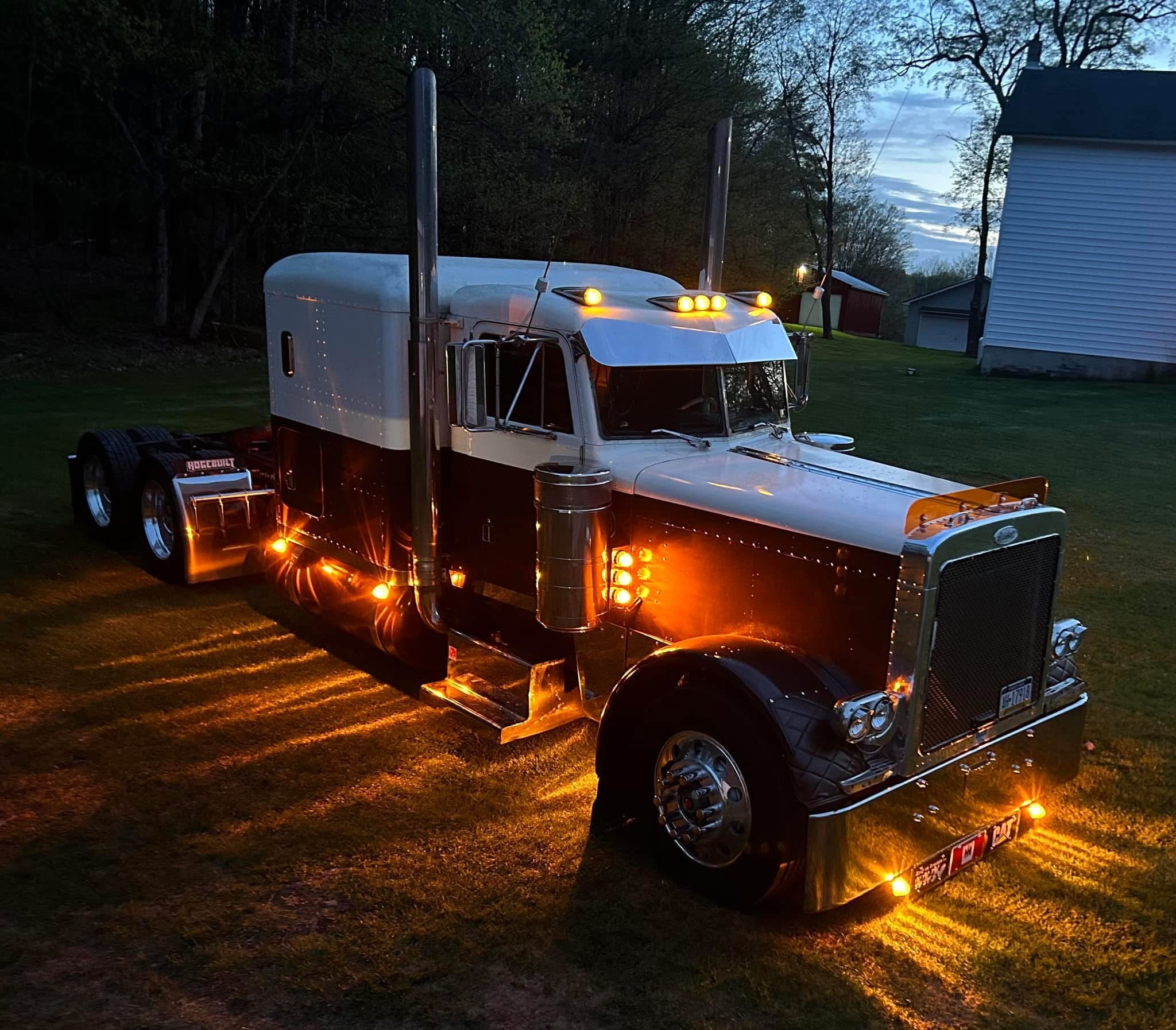 Peterbilt 379 Bugshield
