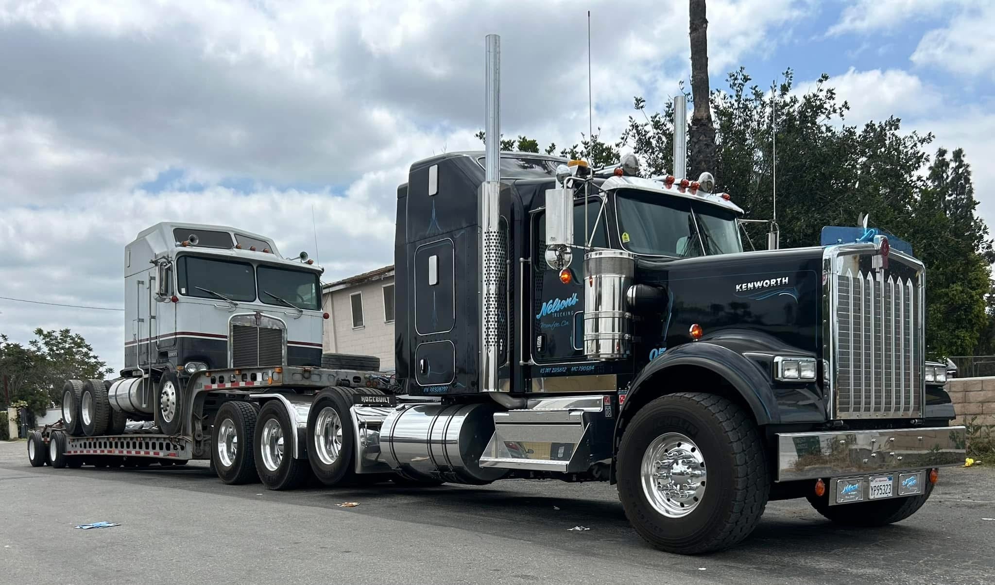 Kenworth W9B Bugshield
