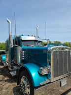 Peterbilt 379 Bugshield