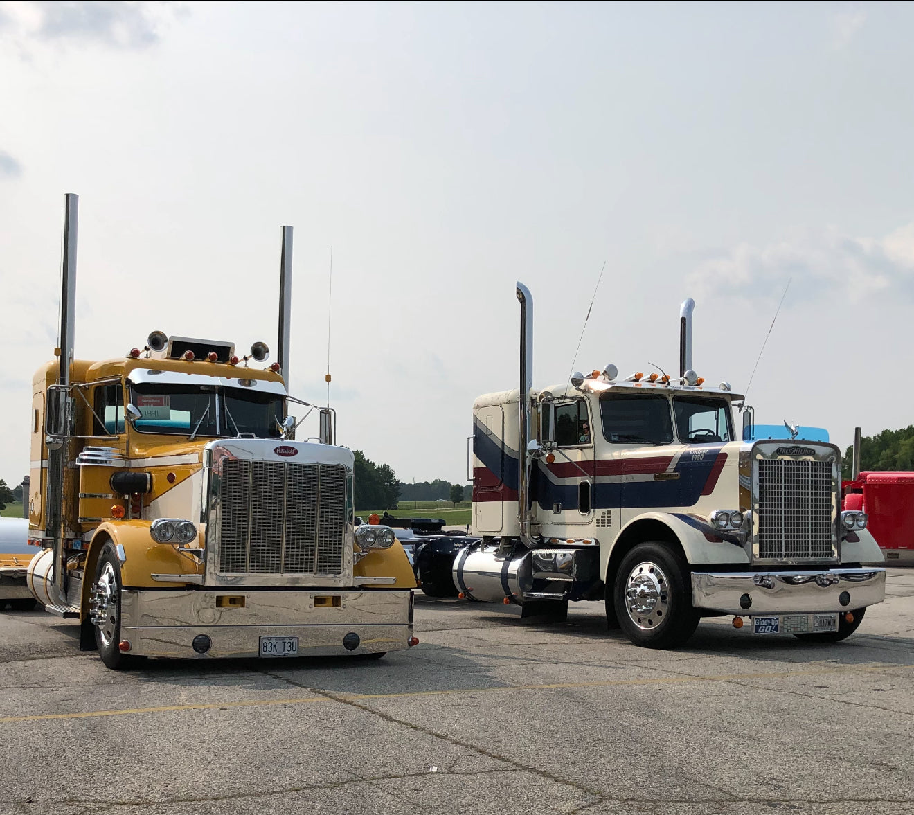 Freightliner FLC Bugshield
