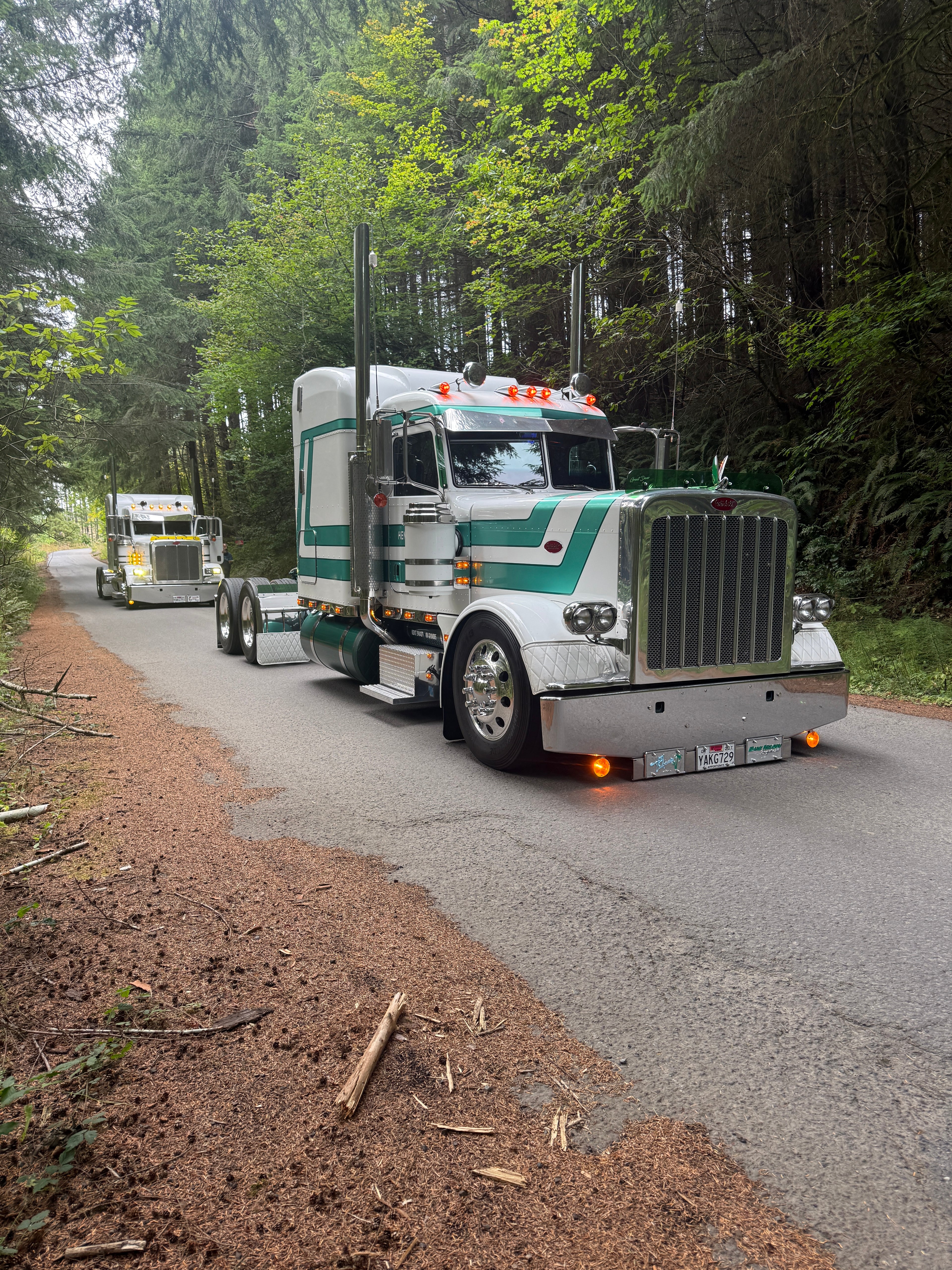 Peterbilt 389/388 Bug Shield