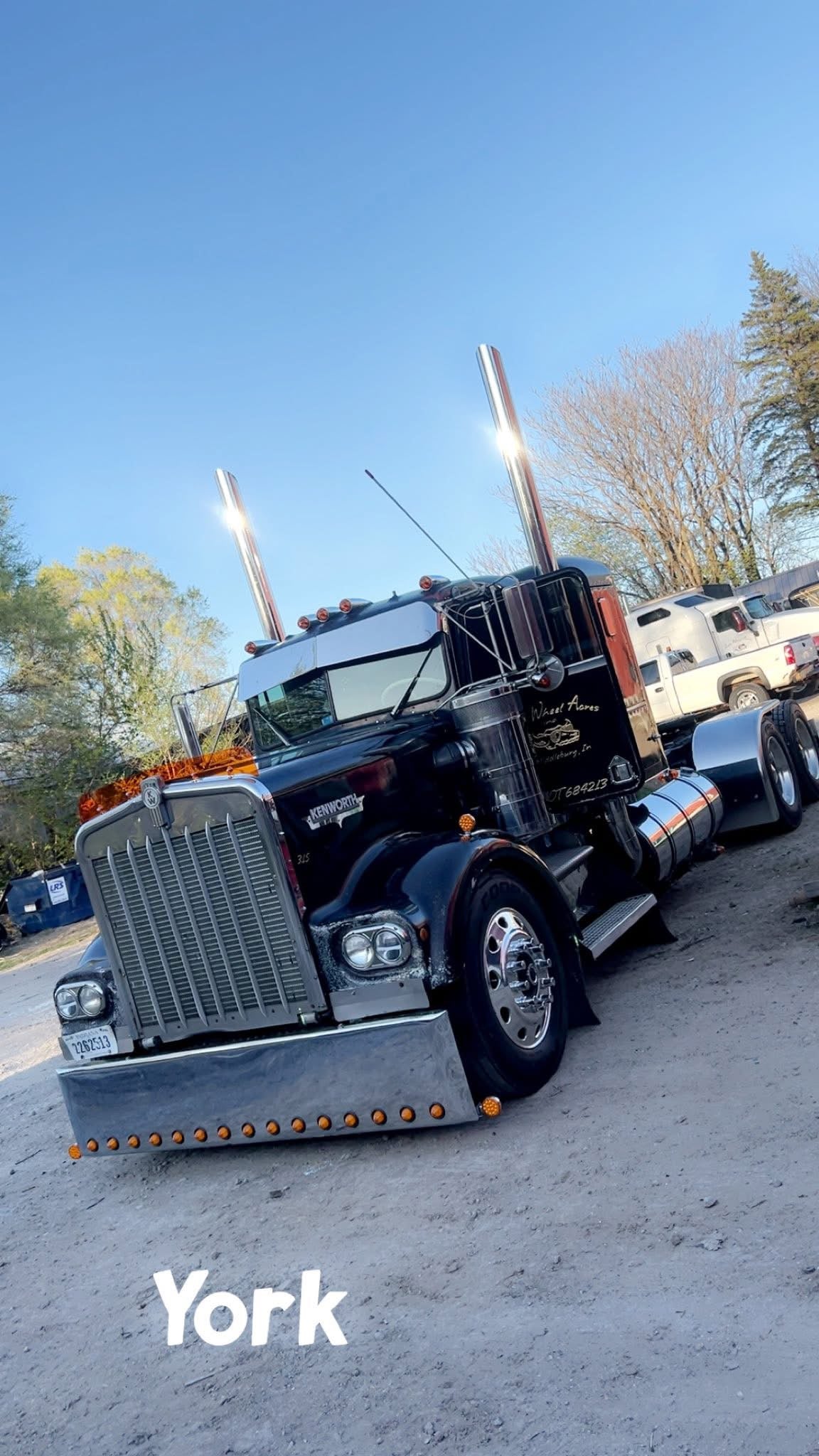 Kenworth W9A Bugshield
