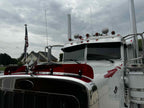 Peterbilt 379 Bugshield