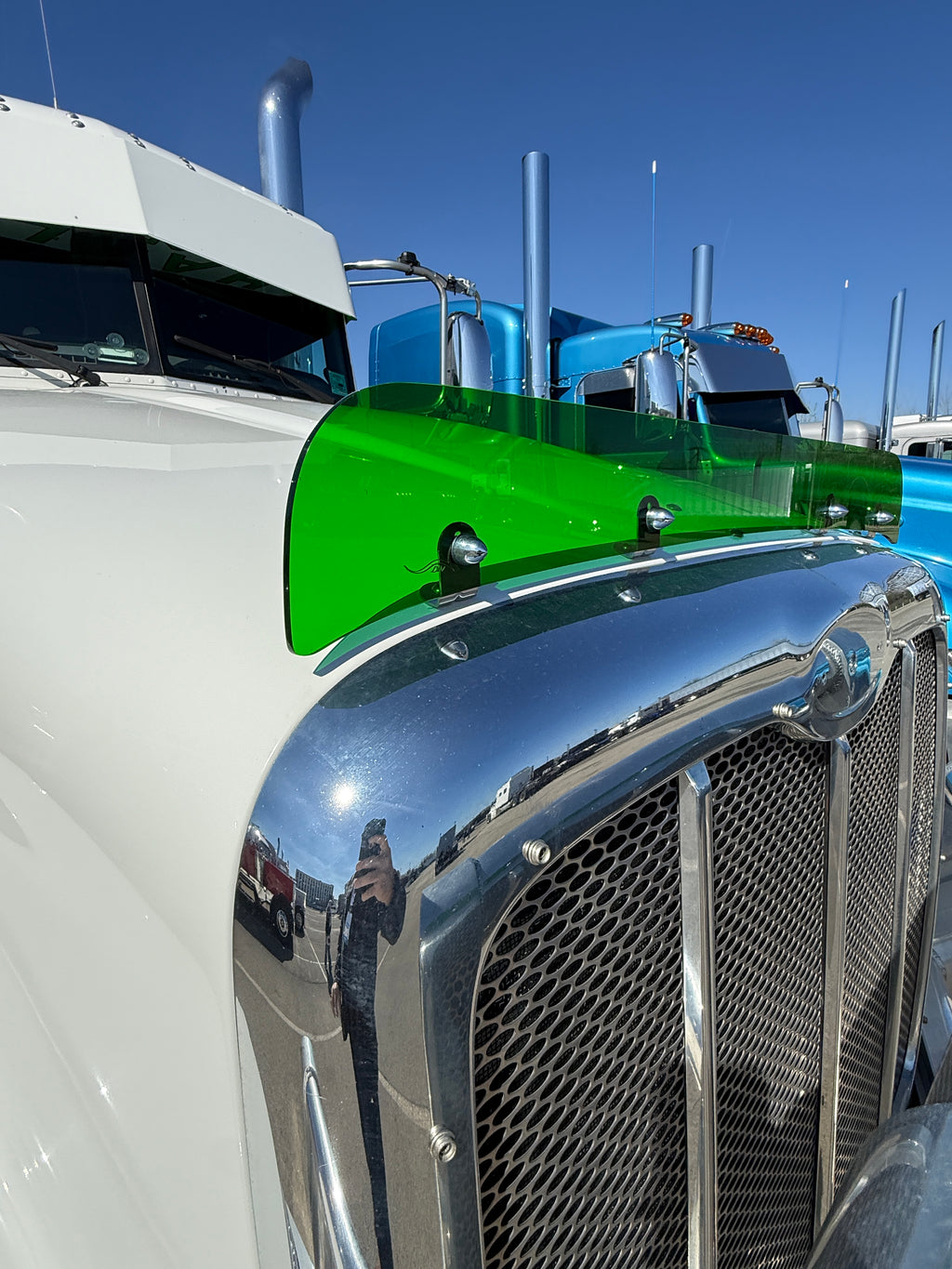 Peterbilt 384/386 Bugshield