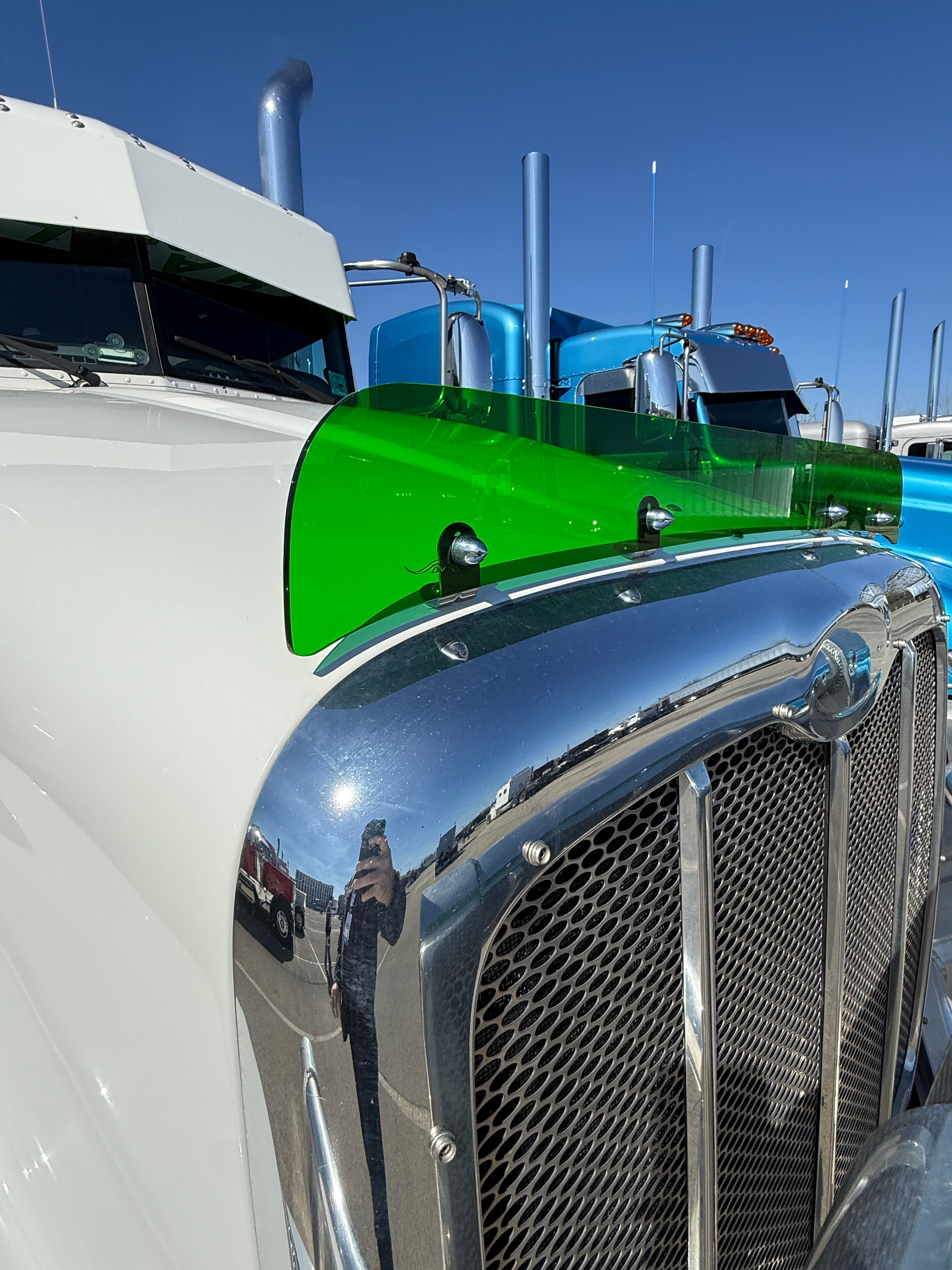 Peterbilt 384/386 Bugshield