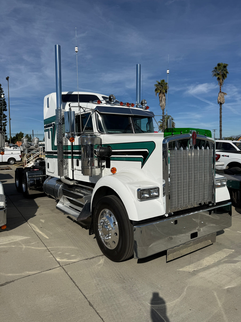 Kenworth W9B Bugshield