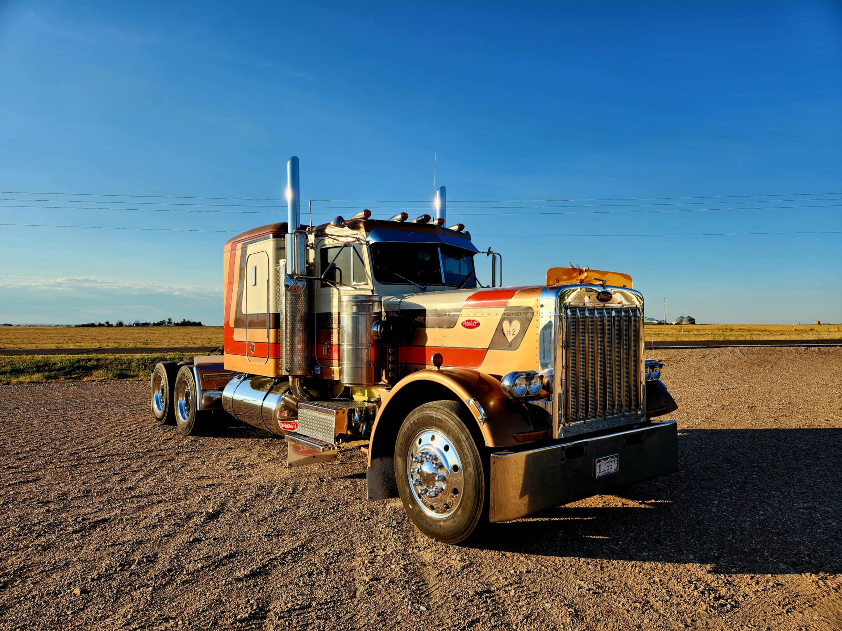 Peterbilt 359 Bugshield