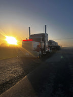 Peterbilt 379 Bugshield