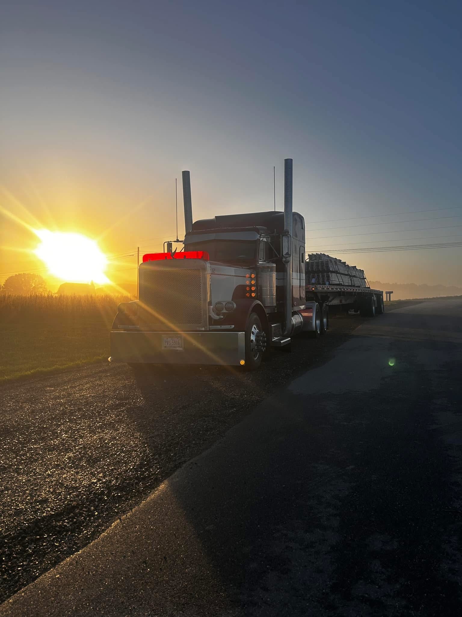 Peterbilt 379 Bugshield