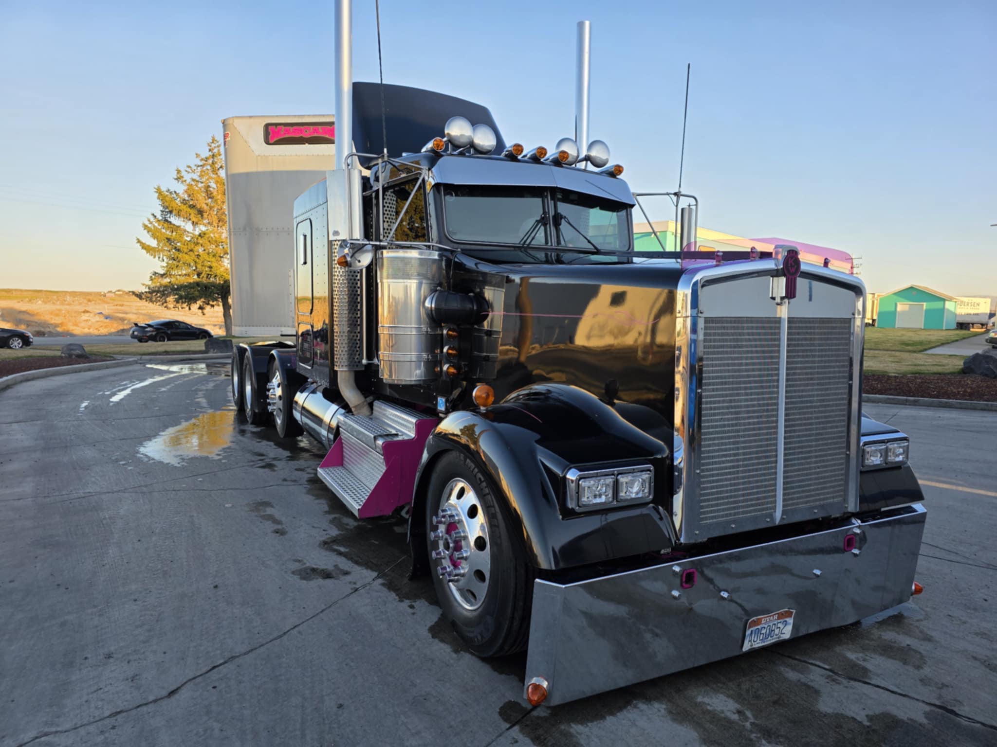 Kenworth W9L Bugshield