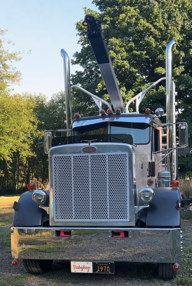 Peterbilt 359 Bugshield