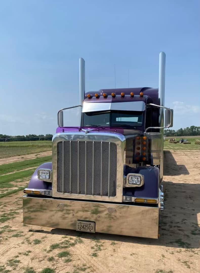 Peterbilt 389/388 Bug Shield