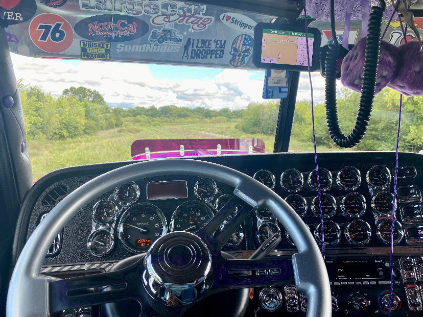 Peterbilt 389/388 Bug Shield