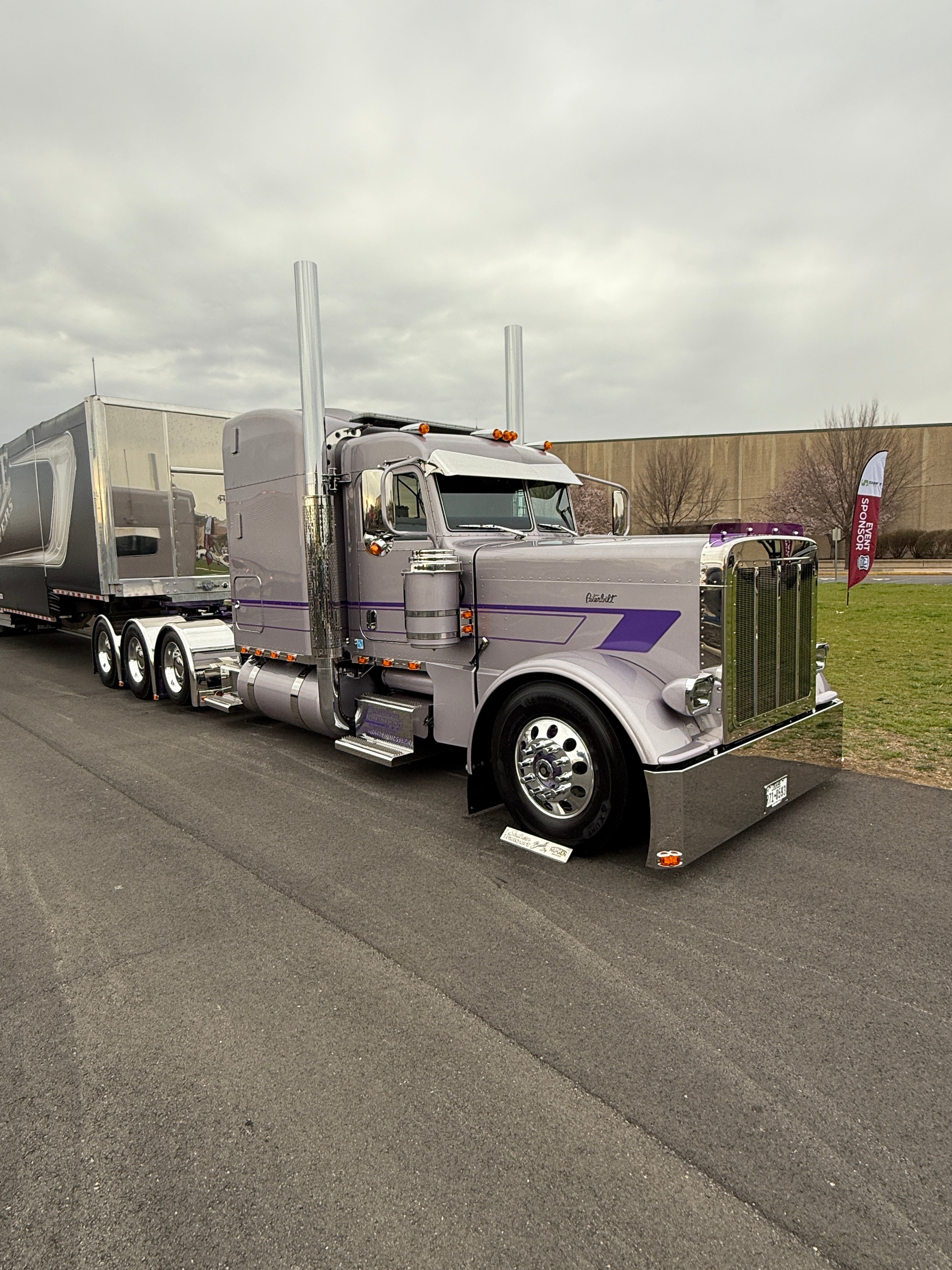Peterbilt 389/388 Bug Shield
