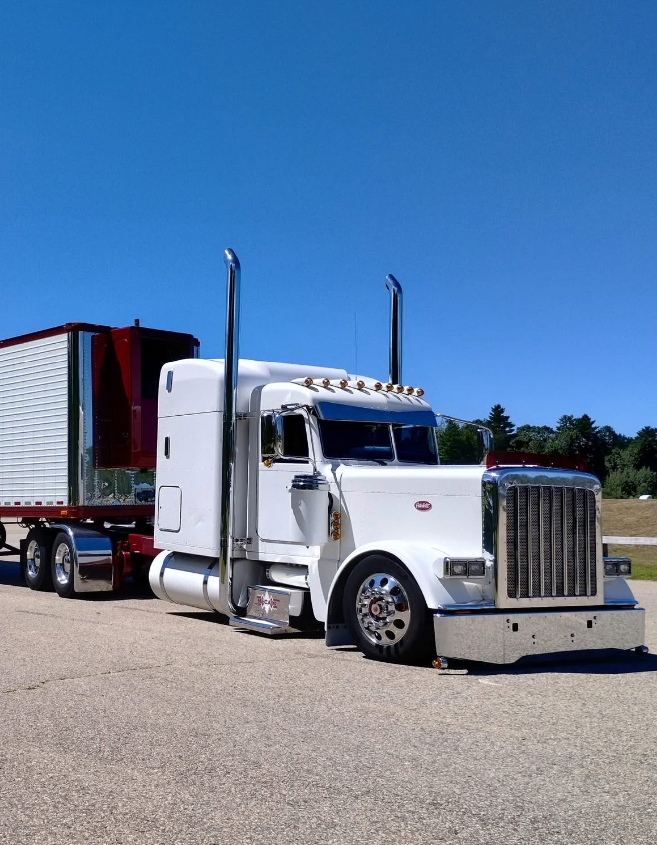 Peterbilt 389/388 Bug Shield