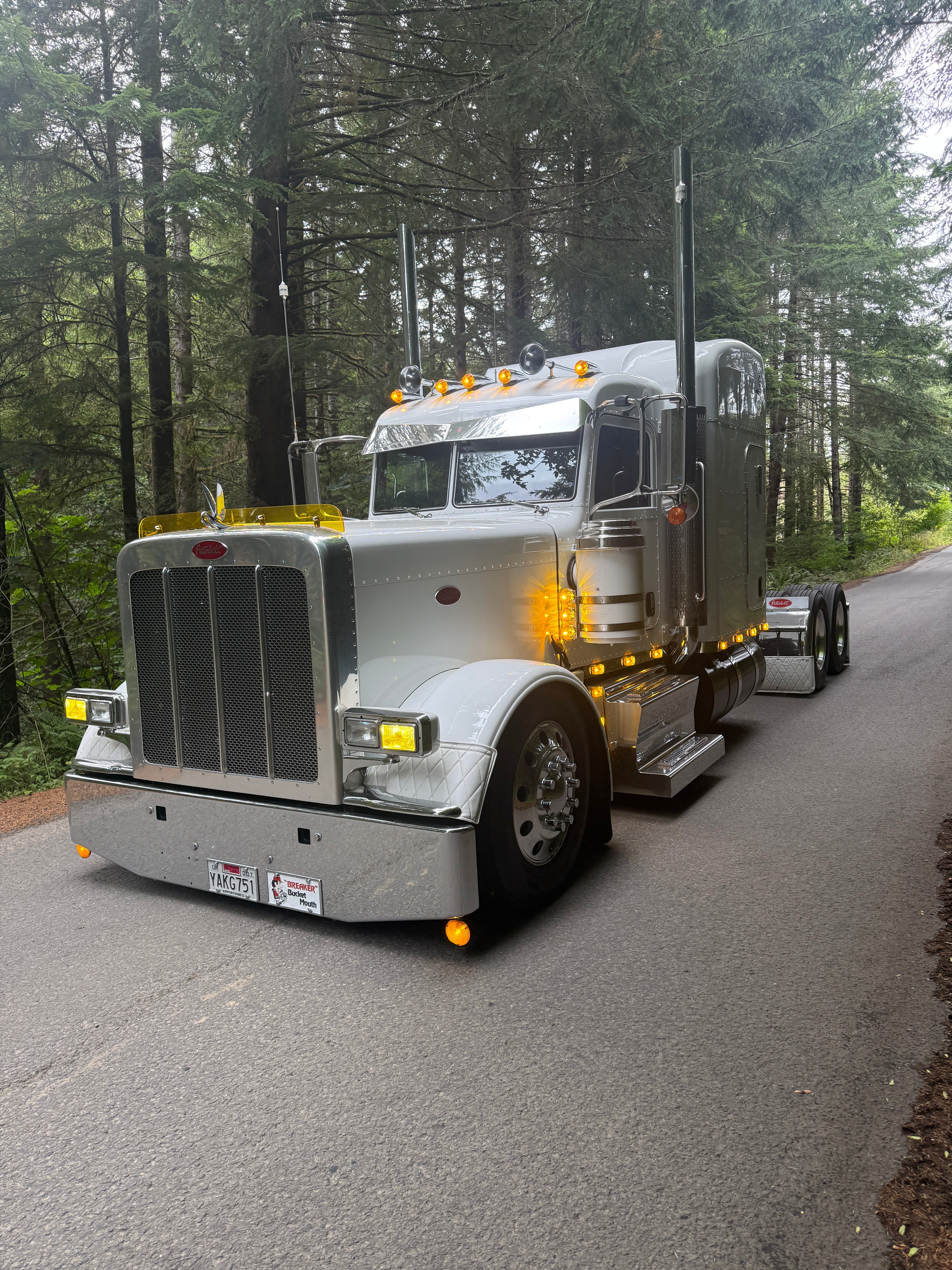 Peterbilt 389/388 Bug Shield
