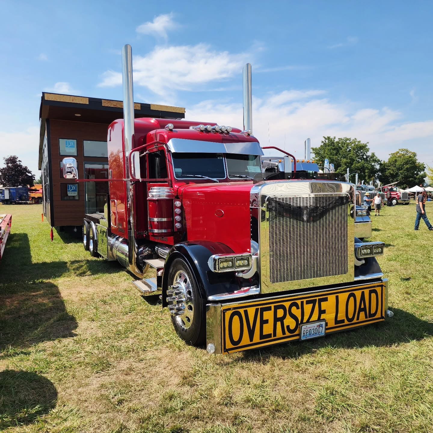 Peterbilt 389/388 Bug Shield