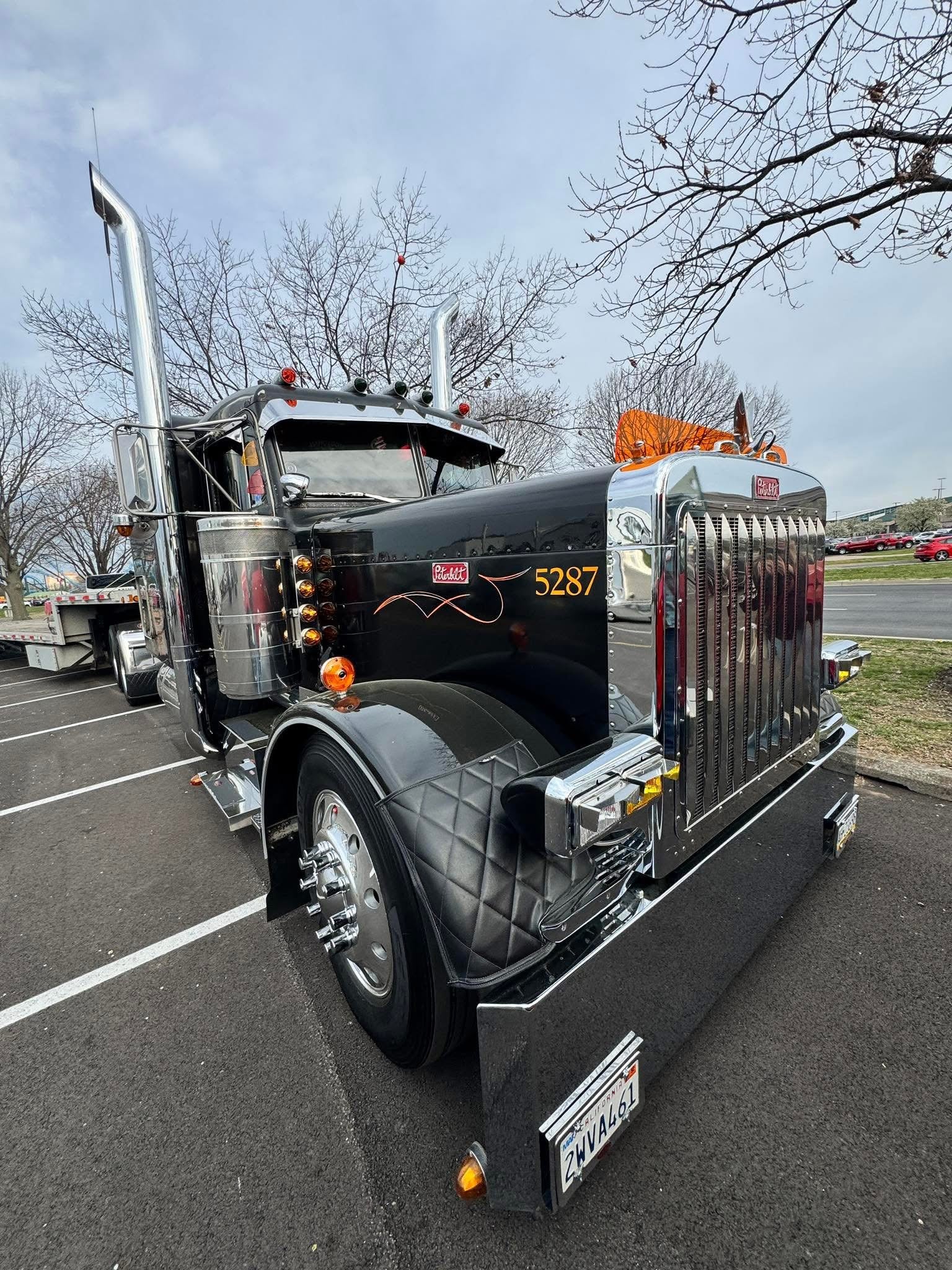 Peterbilt 379 Bugshield