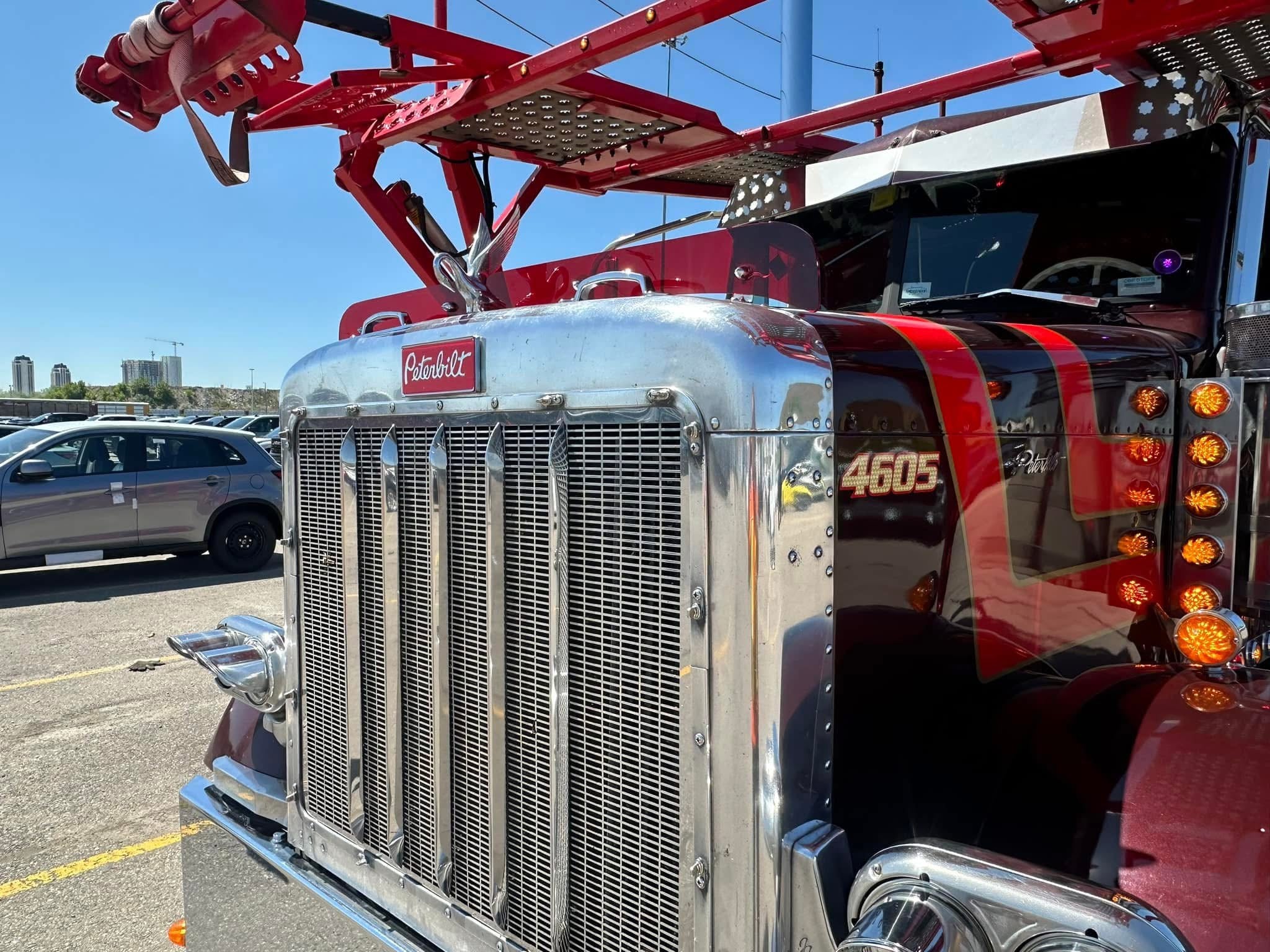Peterbilt 379 Bugshield