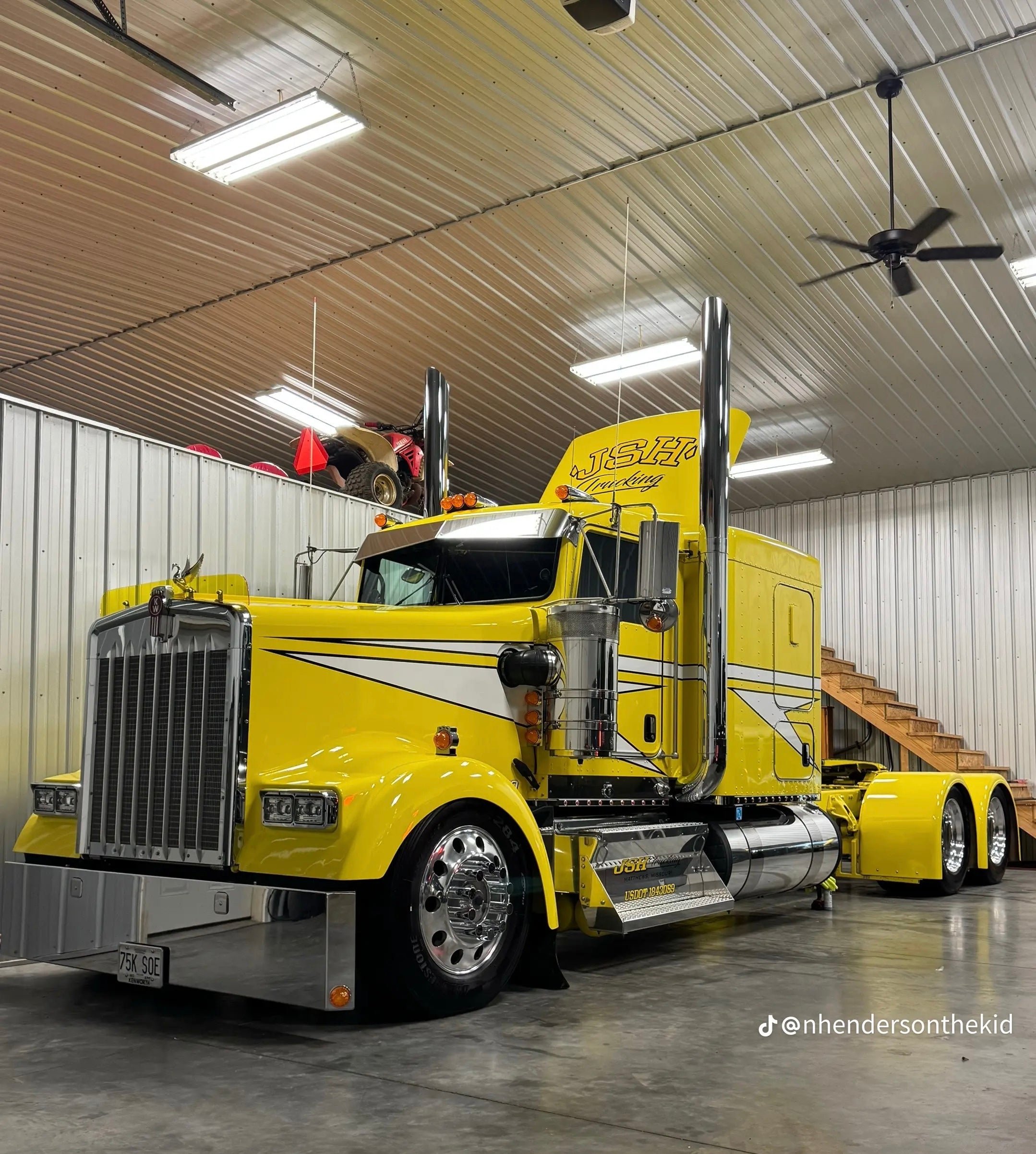 Kenworth W9L Bugshield