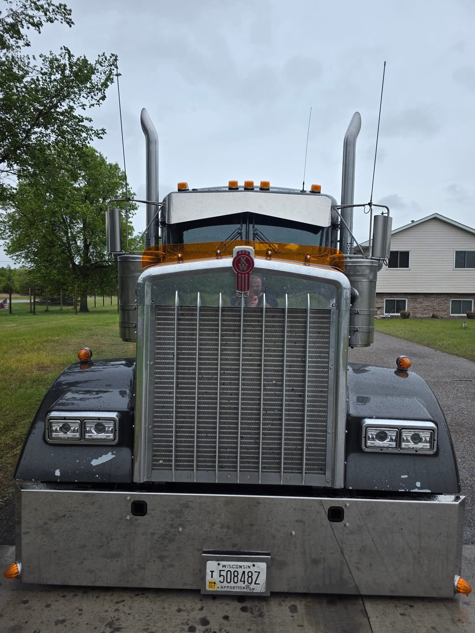 Kenworth W9L Bugshield