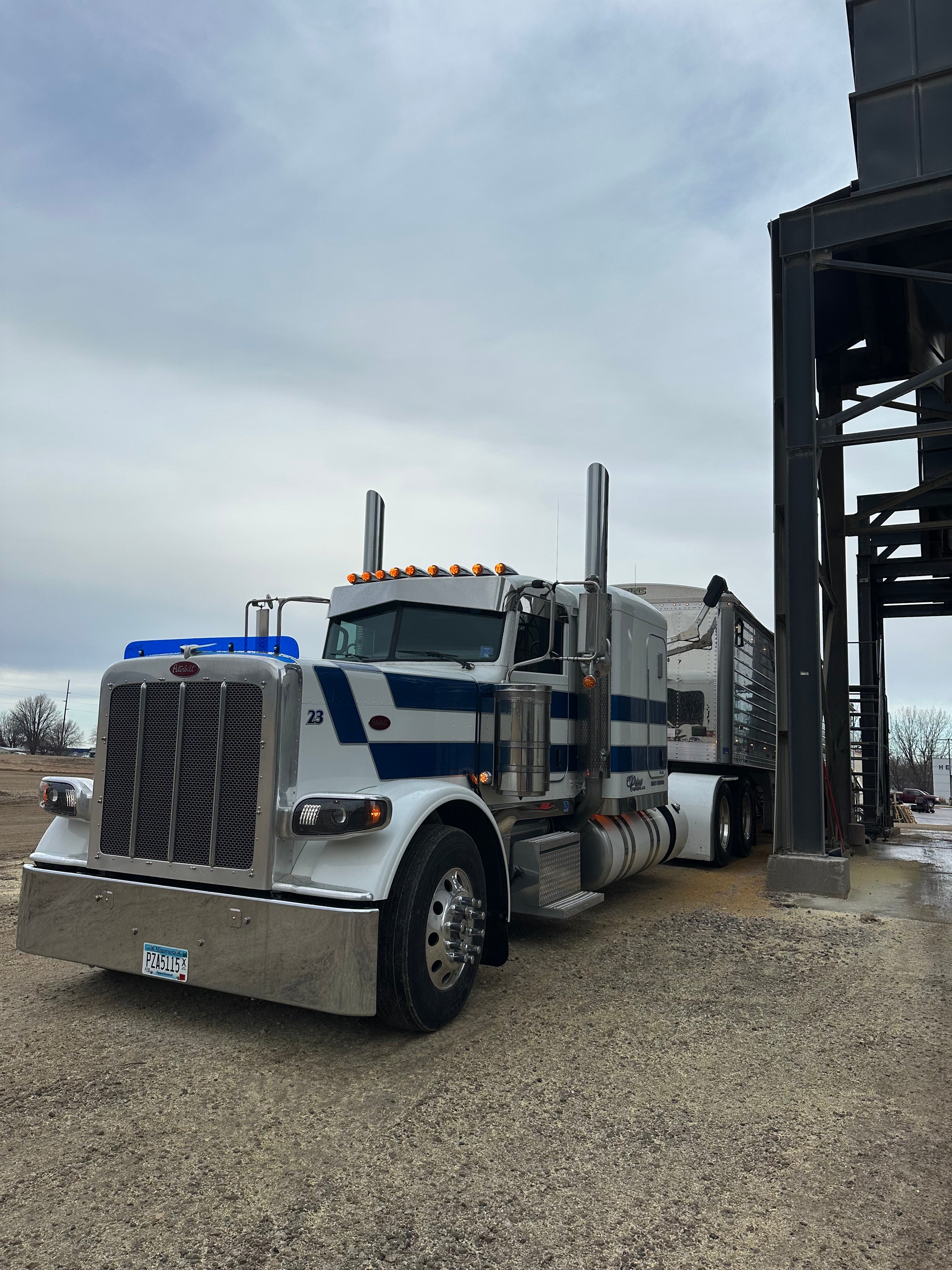 Peterbilt 389/388 Bug Shield
