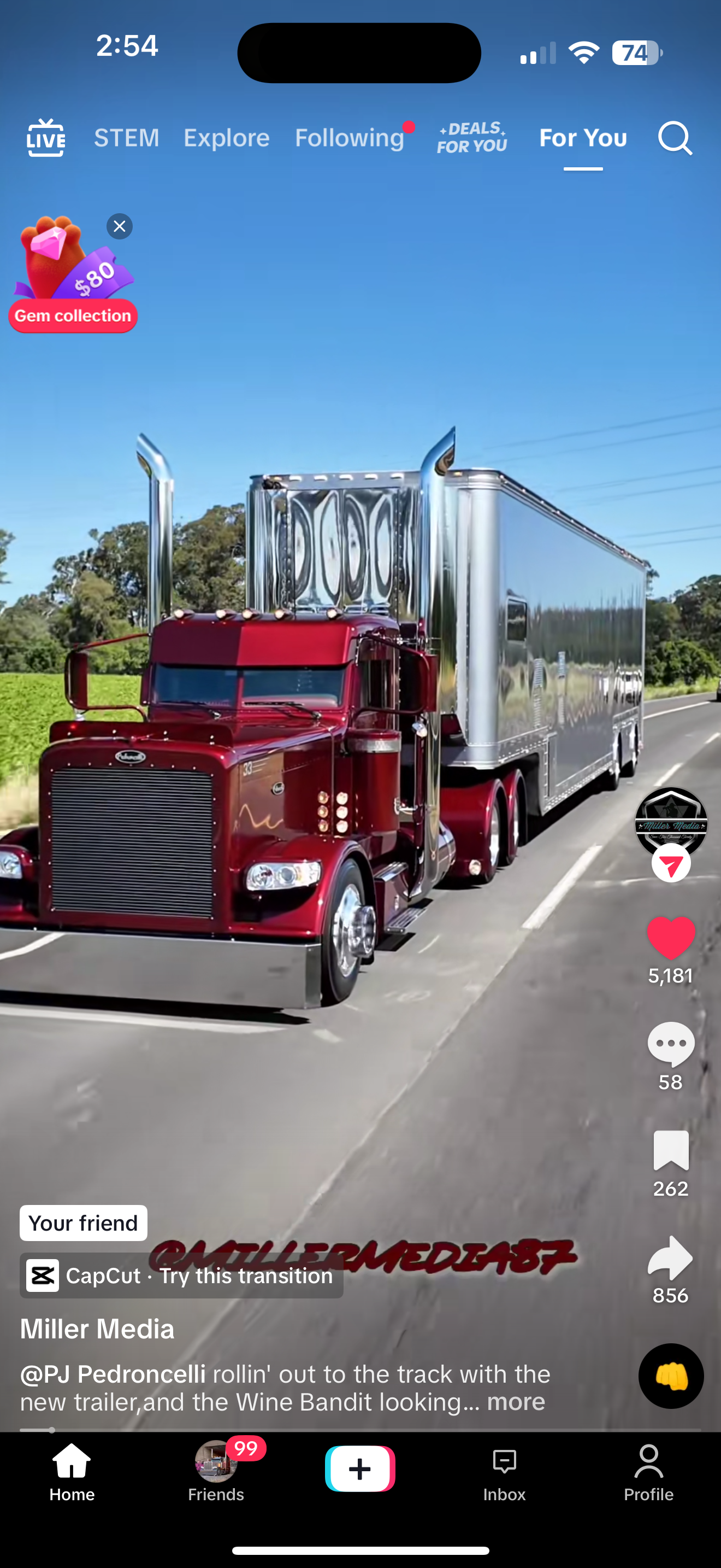 Peterbilt 389/388 Bug Shield