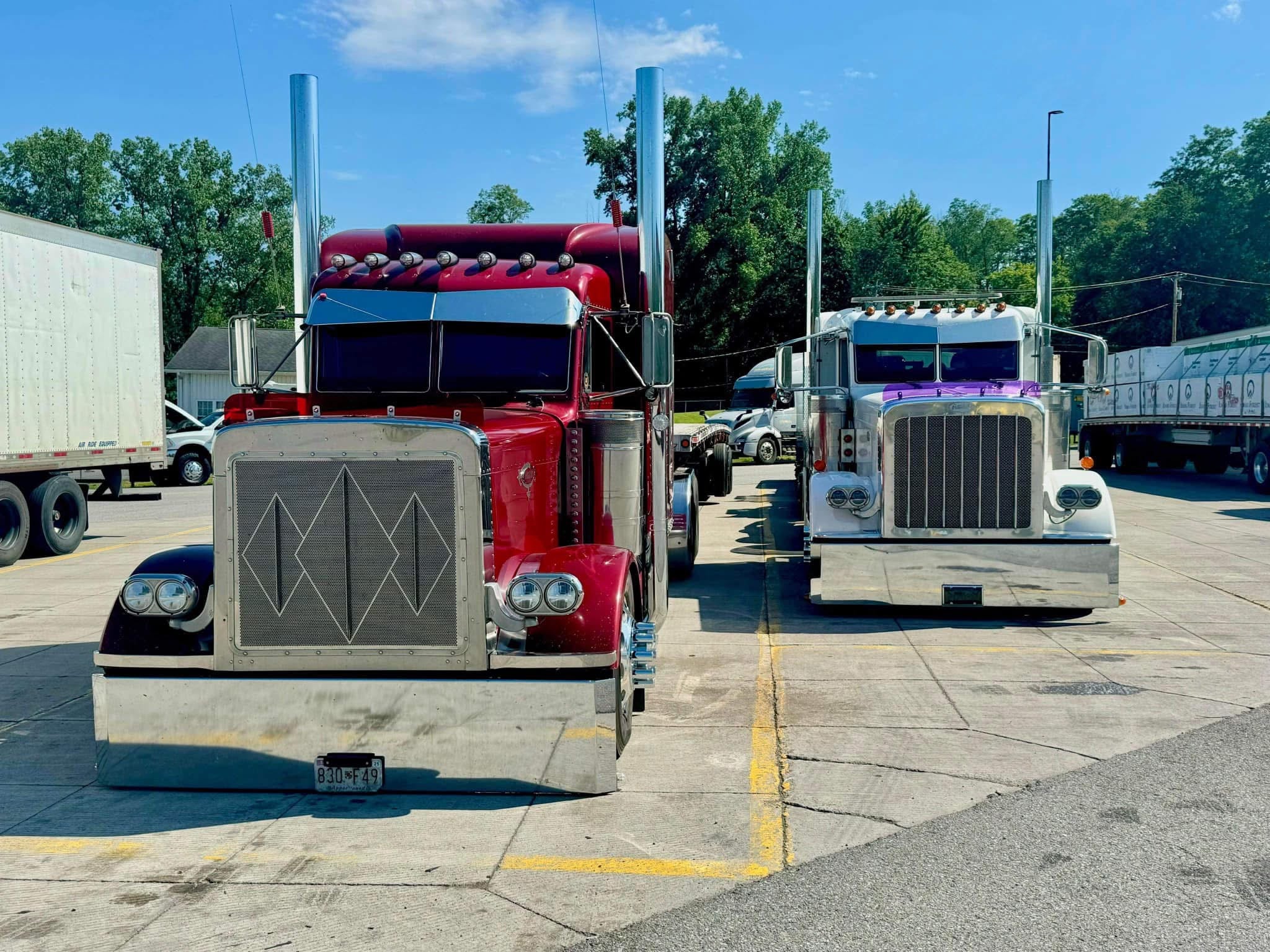 Peterbilt 379 Bugshield