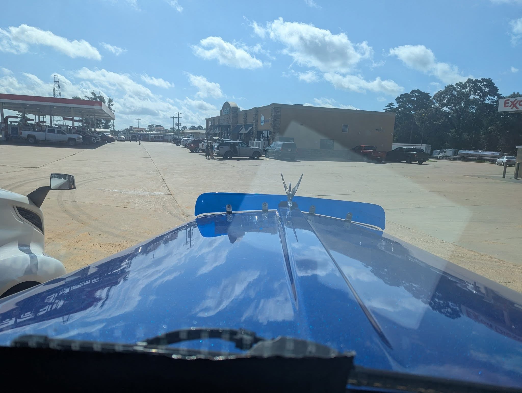 Kenworth W9L Bugshield