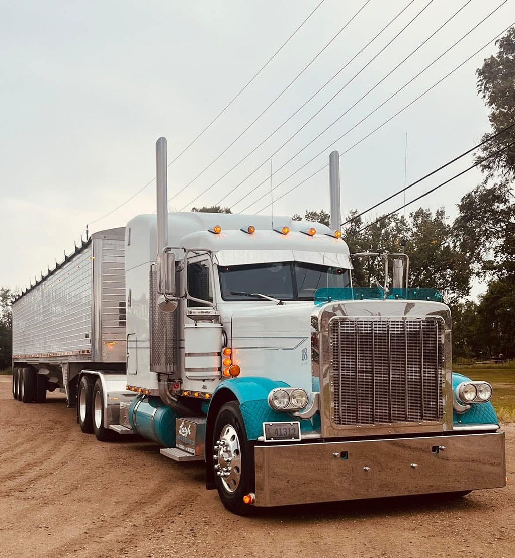 Peterbilt 379 Bugshield