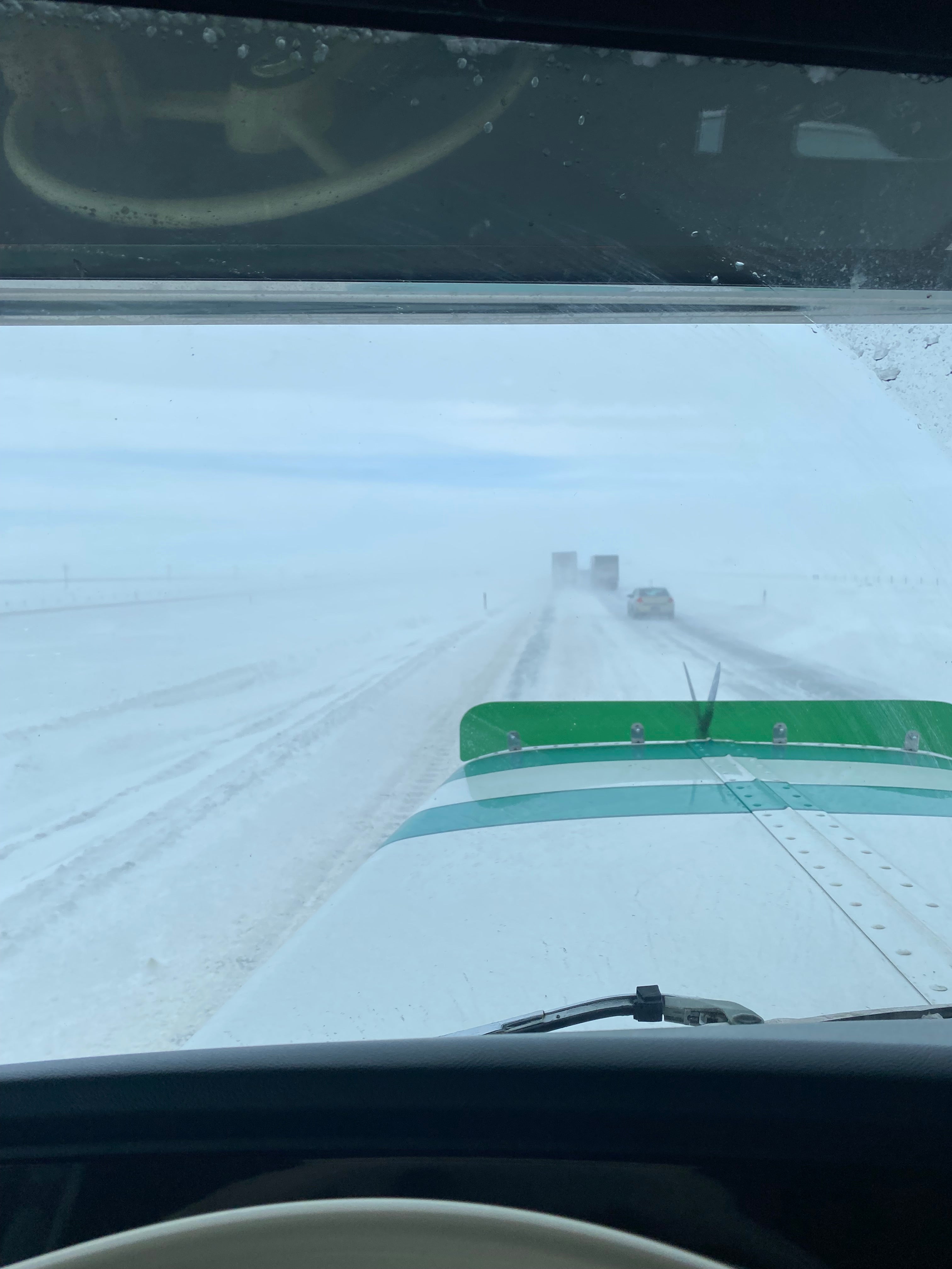 Peterbilt 389/388 Bug Shield