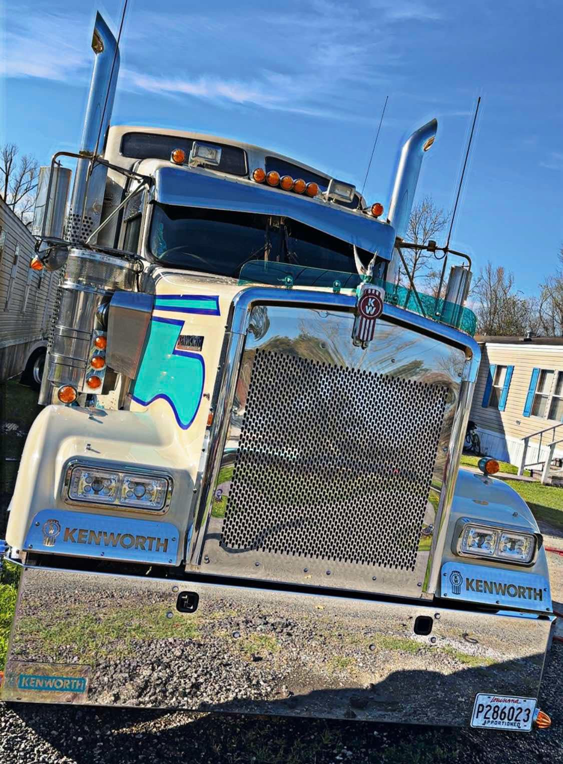 Kenworth W9L Bugshield