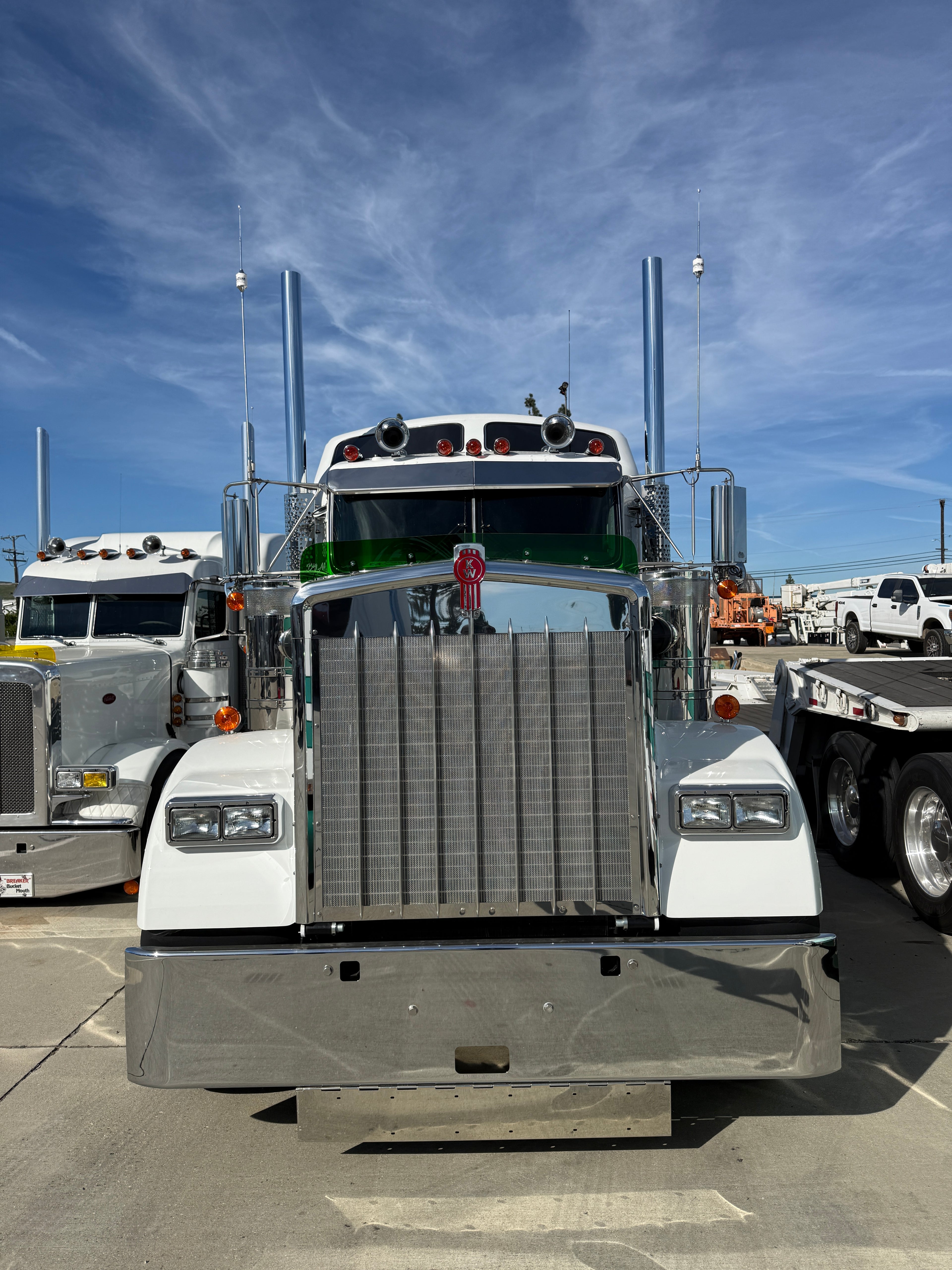 Kenworth W9B Bugshield