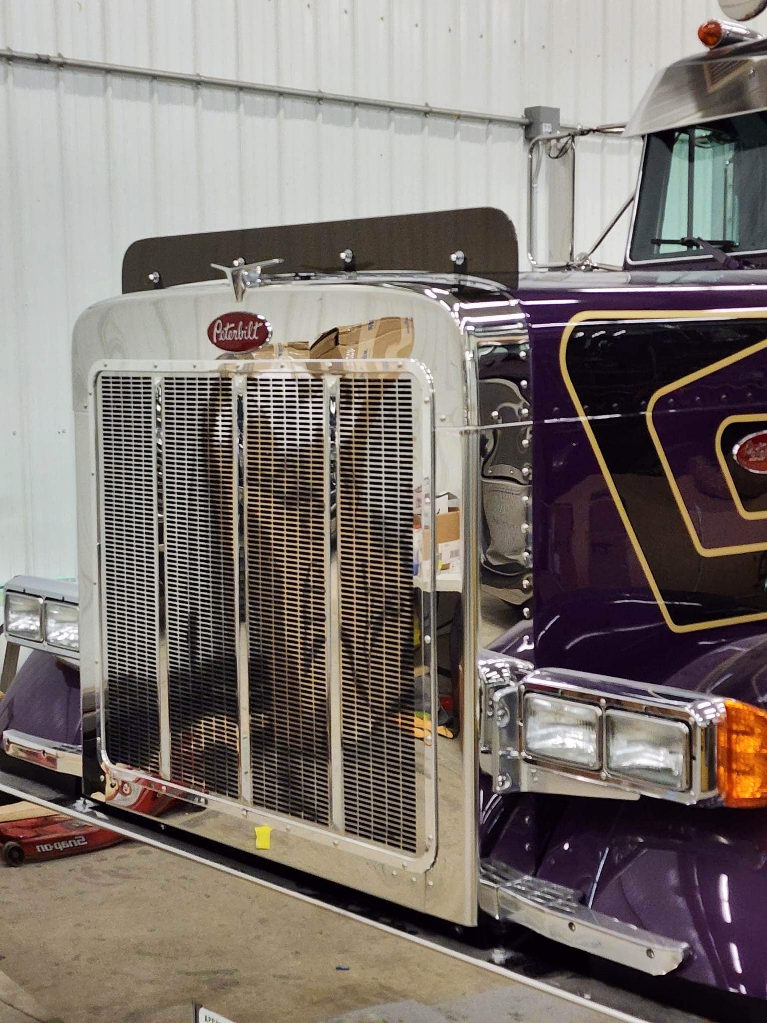 Peterbilt 389/388 Bug Shield