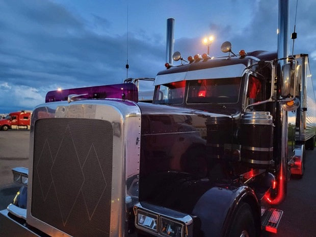Peterbilt 389/388 Bug Shield