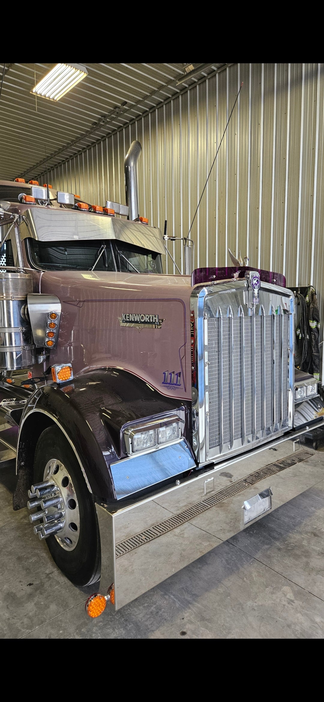 Kenworth W9L Bugshield