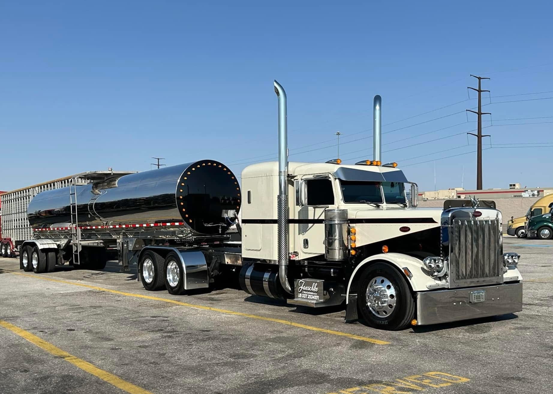 Peterbilt 379 Bugshield