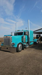 Peterbilt 379 Bugshield