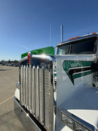 Kenworth W9B Bugshield