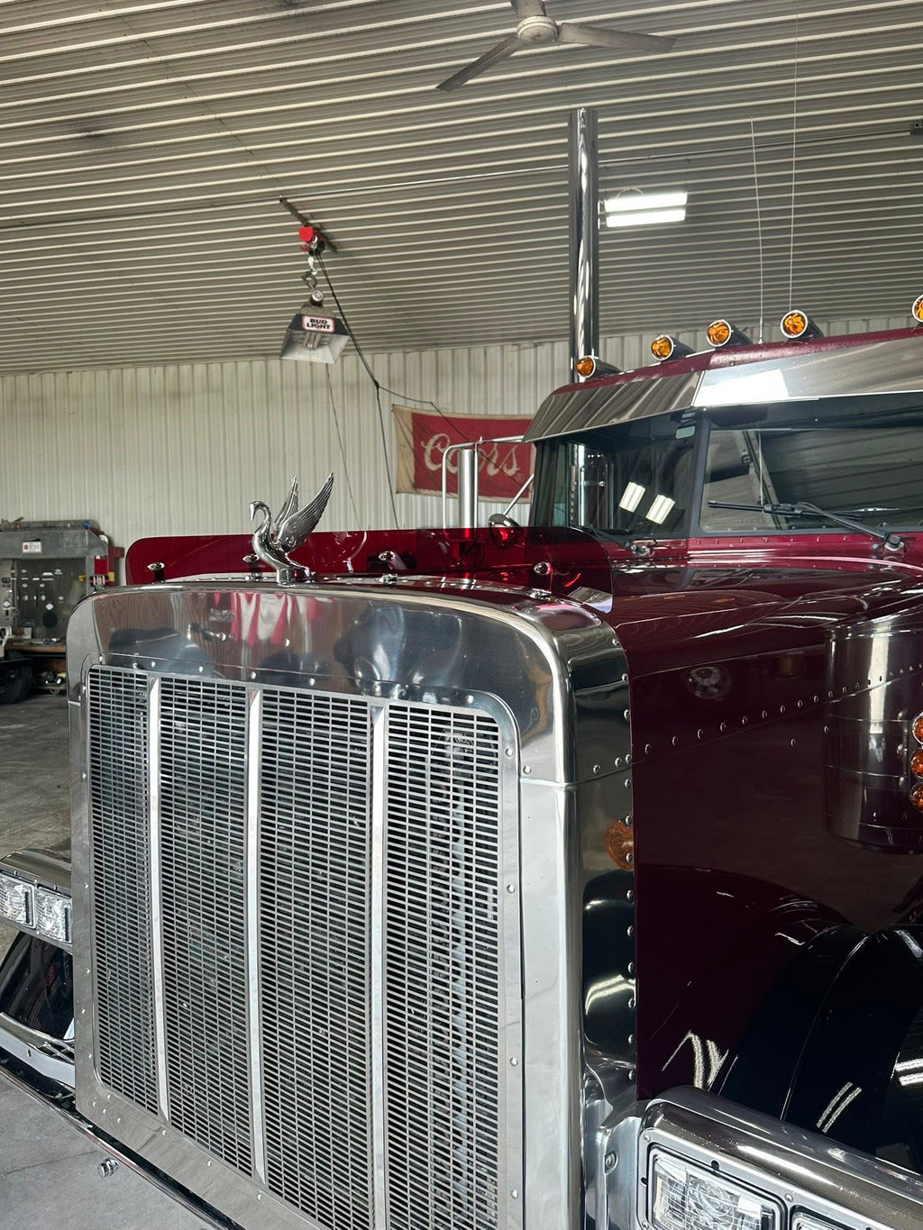 Peterbilt 379 Bugshield