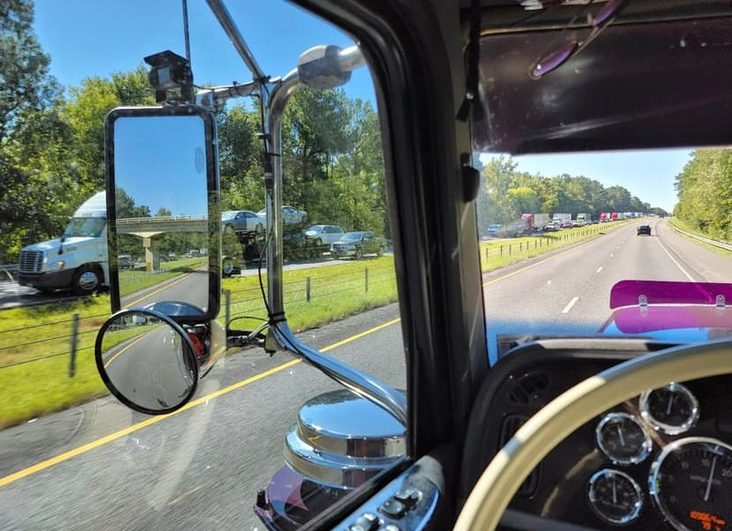 Peterbilt 389/388 Bug Shield