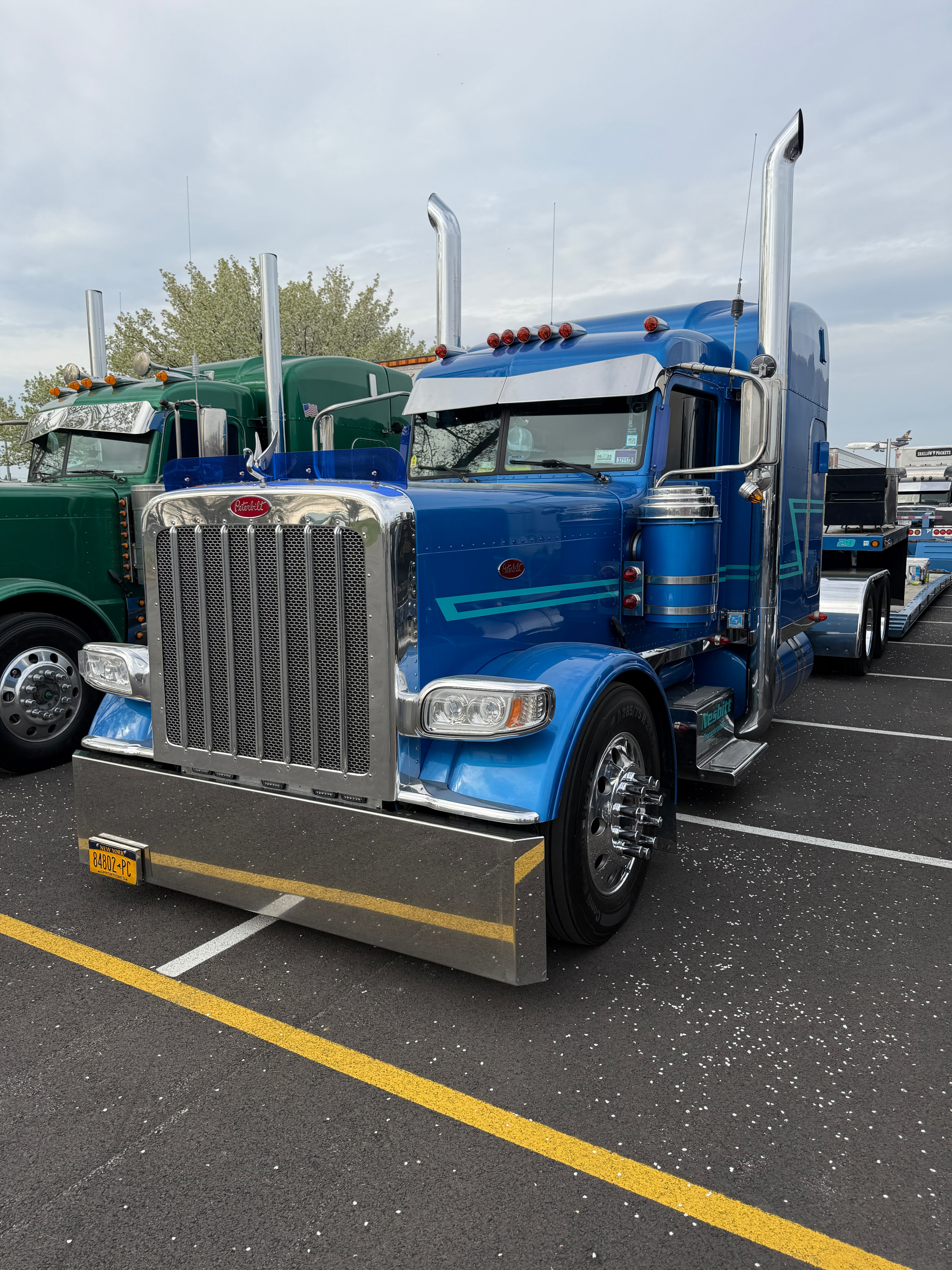 Peterbilt 389/388 Bug Shield