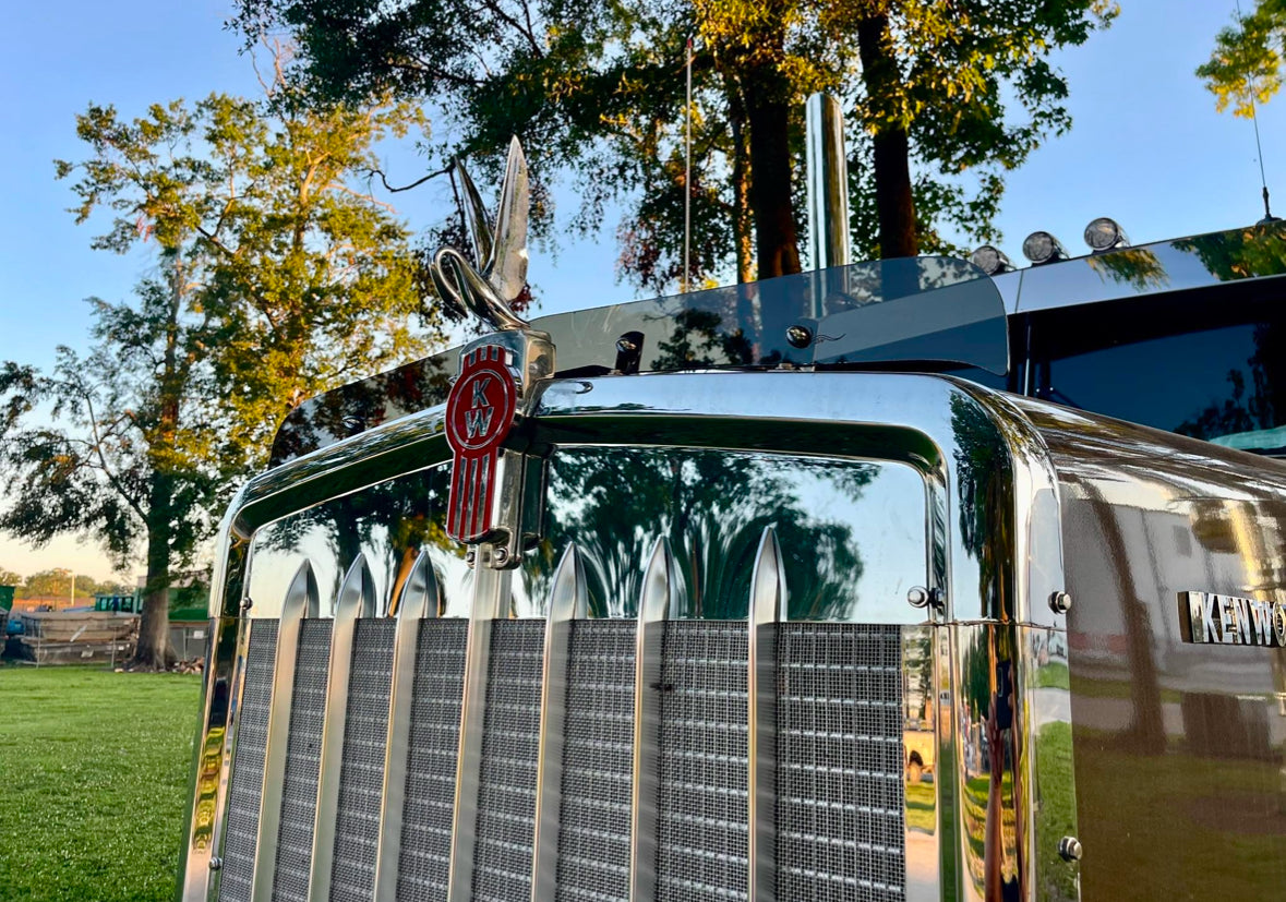 Kenworth W9L Bugshield