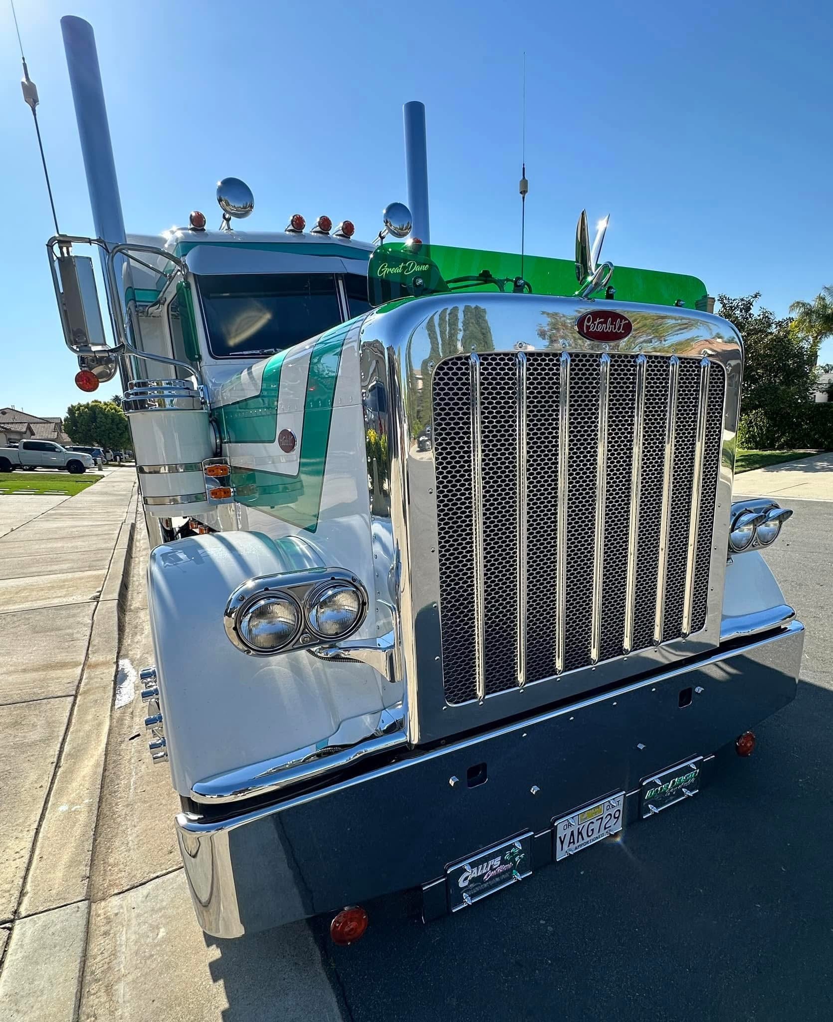 Peterbilt 389/388 Bug Shield