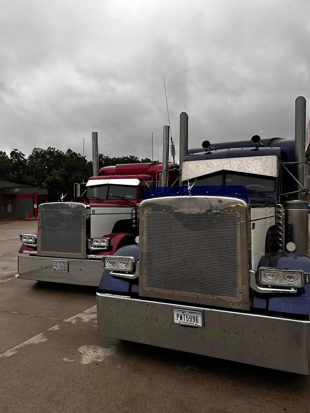 Peterbilt 379 Bugshield