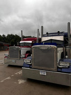 Peterbilt 379 Bugshield